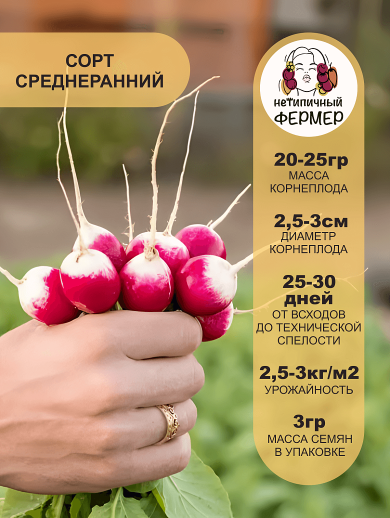 Политез2.png