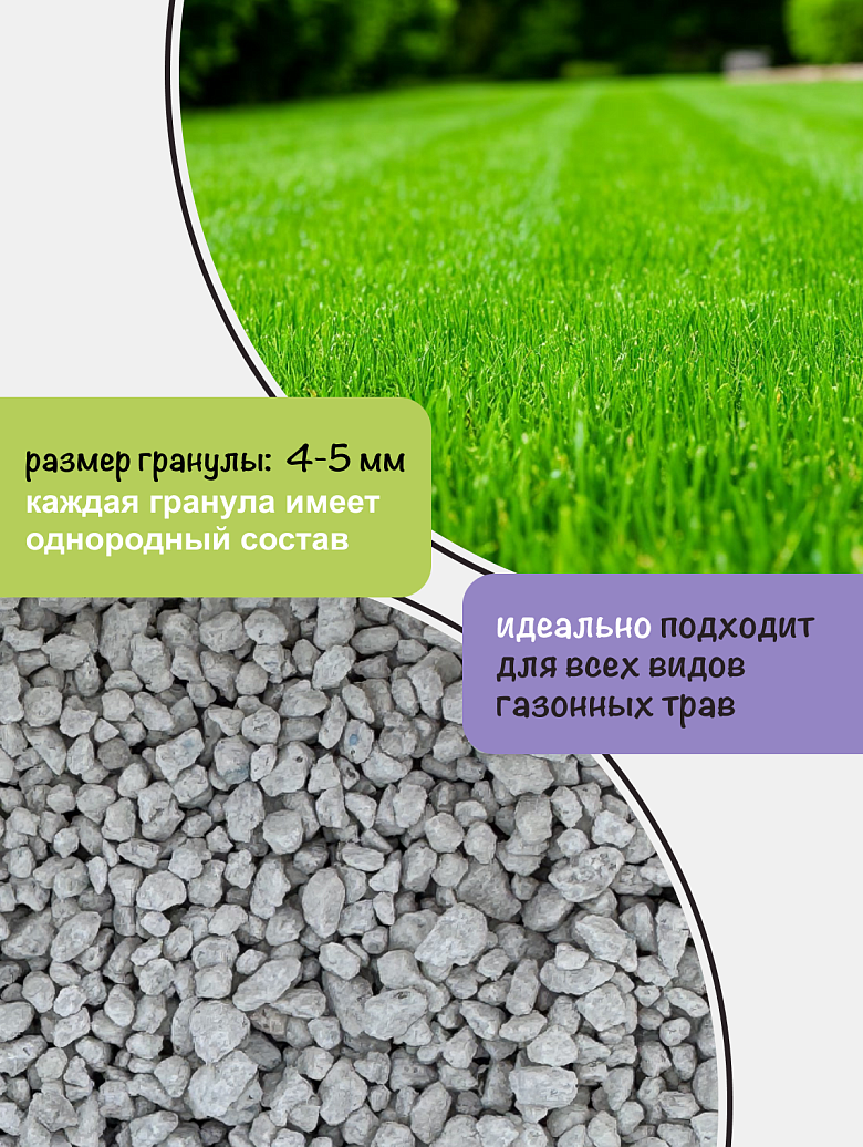 газон 4