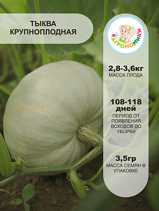 Тыква Крошечка-Хаврошечка "Агрономики" (10шт) НФ