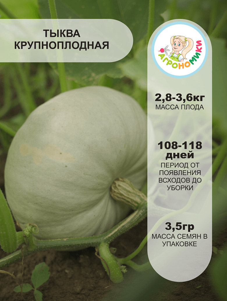 крошечка-хаврошечка2 (1).png