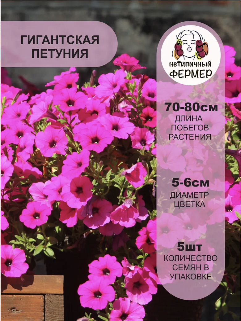 Снимок экрана 2025-12-18 в 17.43.35