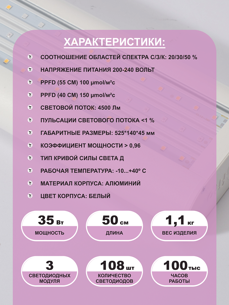 белая12