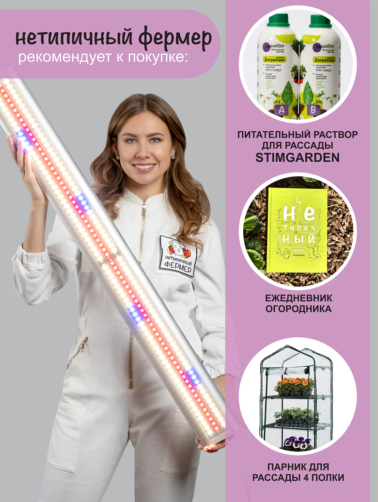 серебро18 сайт