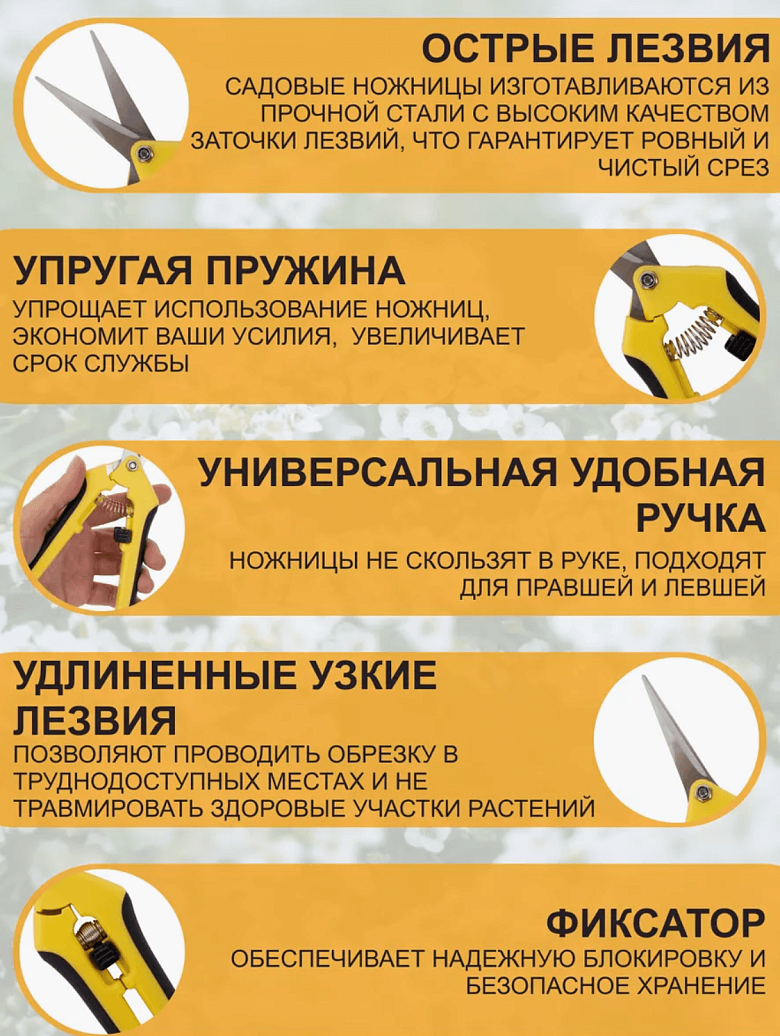 Снимок экрана 2025-09-04 в 20.52.50.png