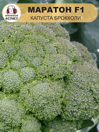 Капуста брокколи Маратон F1 (10шт) НФ