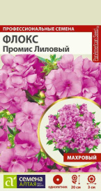 Флокс Промис Лиловый махровый (5шт) СА