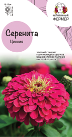 Цинния Серенита (4шт) НФ