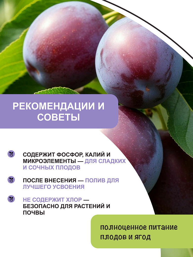 ягоды7