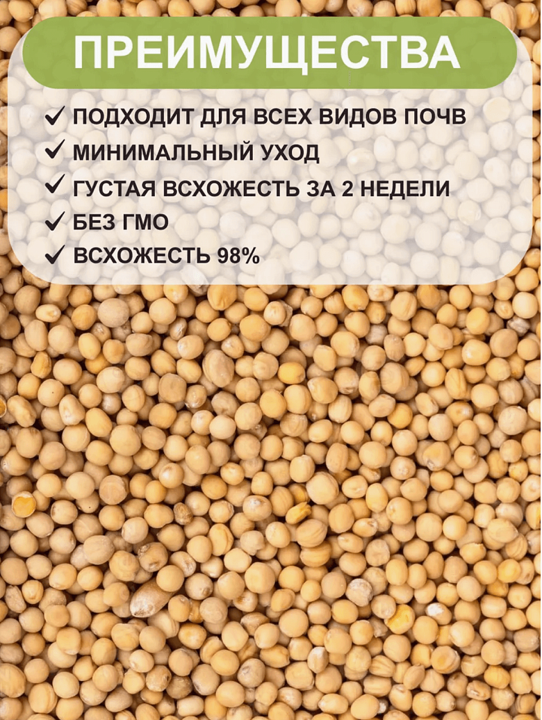 Снимок экрана 2025-09-04 в 20.42.10.png