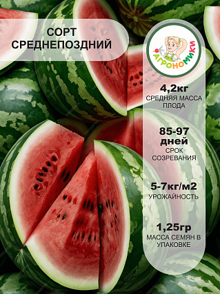 Арбуз Холодок "Агрономики" (10шт) НФ