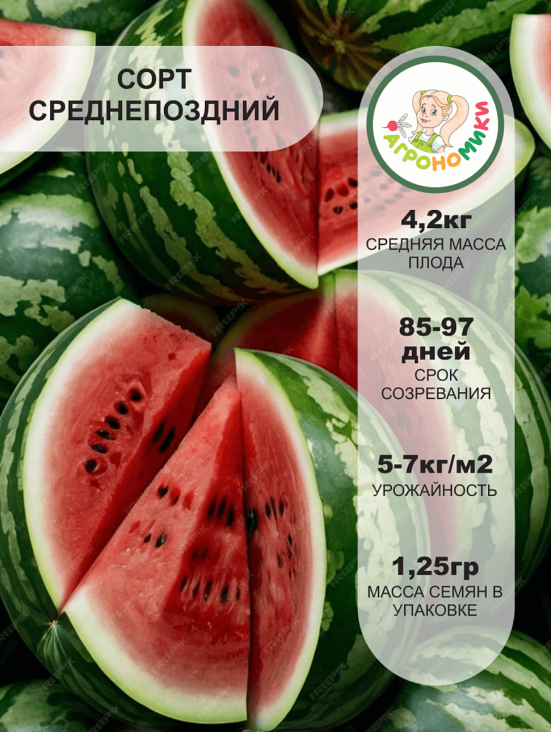холодок2.png