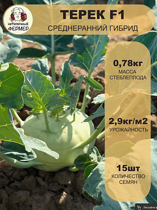 Капуста кольраби Терек F1 (15шт) НФ
