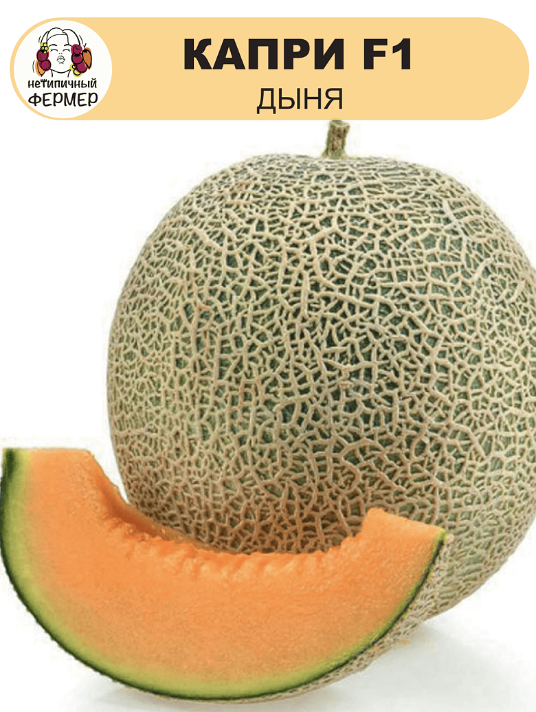01э.png
