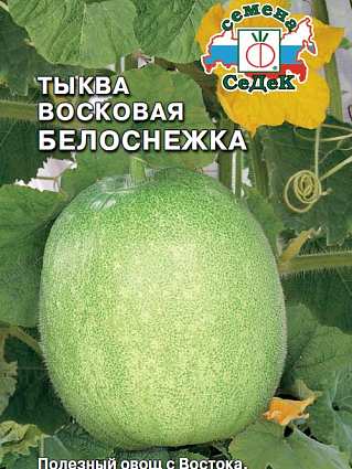 Тыква восковая Белоснежка (0,2г) СЕДЕК до 12.2026