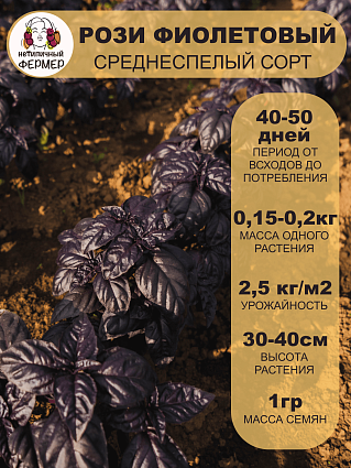 Базилик Рози (1г) НФ