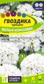 Гвоздика турецкая Белая Королева (0,2г) СА