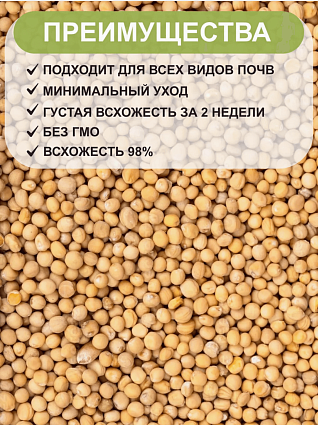 Горчица 0,5 кг