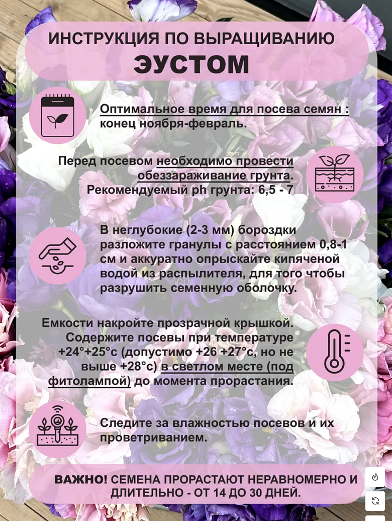 Снимок экрана 2025-12-19 в 00.14.20