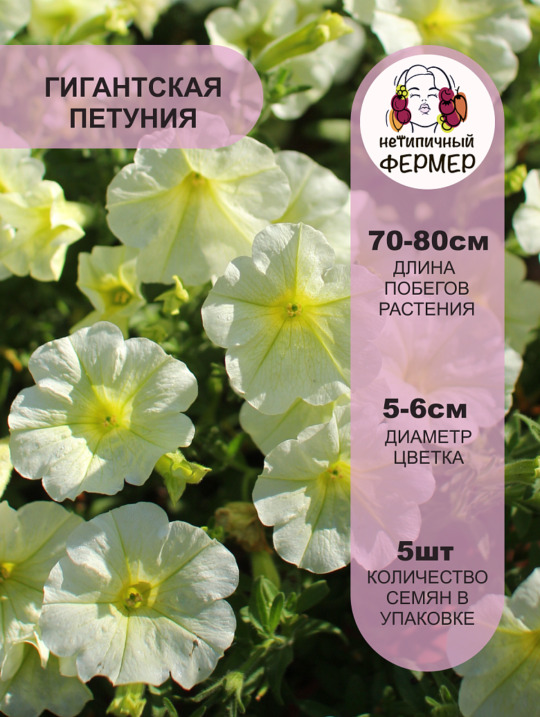 опера лемон2