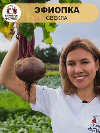 Свекла Эфиопка (3г) НФ
