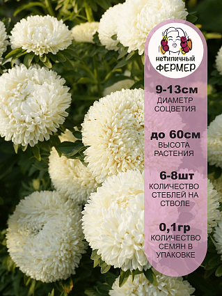 Астра Косма (0,1г) НФ