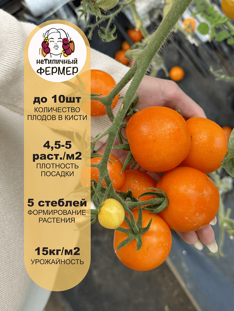 оранж.земледелец3.png