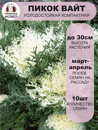 Капуста декоративная Пикок Вайт (10шт) НФ