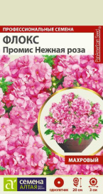 Флокс Промис Нежная роза махровый (5шт) СА