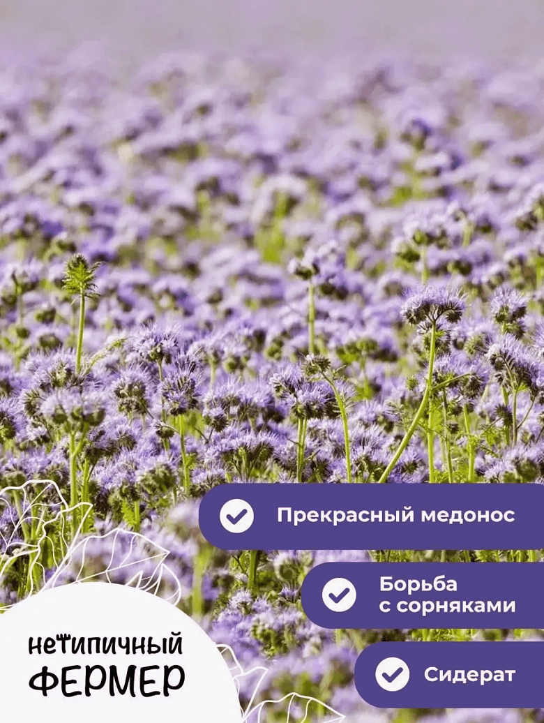 Снимок экрана 2025-09-04 в 20.40.31.png