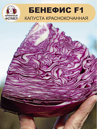 Капуста Бенефис F1 (0,3г) НФ
