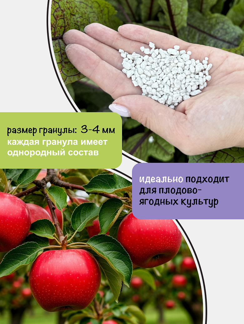 ягоды4