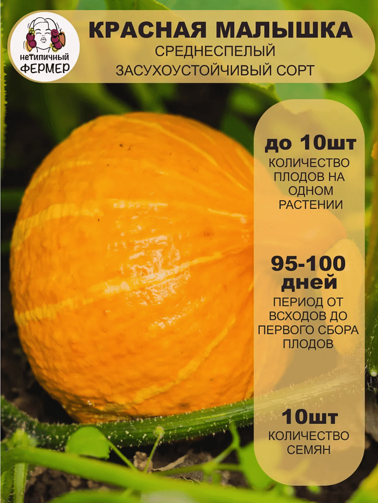 Снимок экрана 2025-09-04 в 22.16.14.png