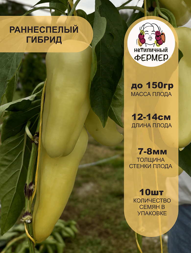 СОЮЗ2.png
