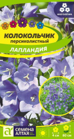 Колокольчик персиколистный Лапландия (0,05г) СА