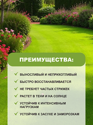 Газонная трава Канада Супергрин 5 кг