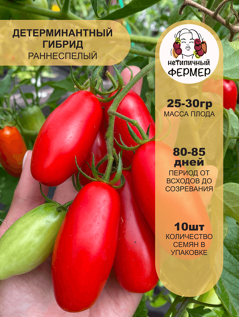 Уникум2.png