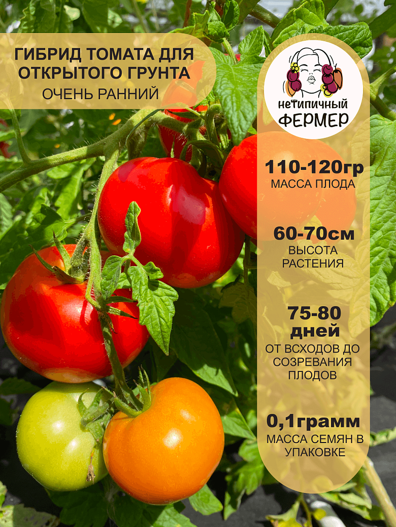 Анюта2.png