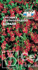 Брусника Коралл (0,05г) Седек