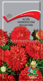 Астра Низкорослая Красный ковер (0,2г) Поиск