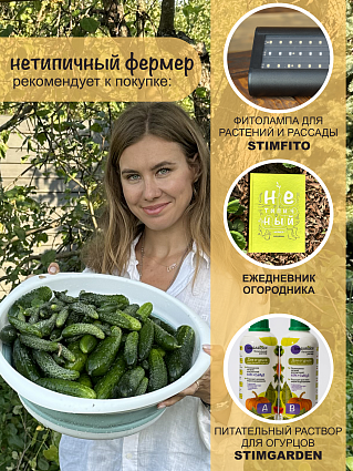 Огурец Арпачин F1 (5шт) НФ