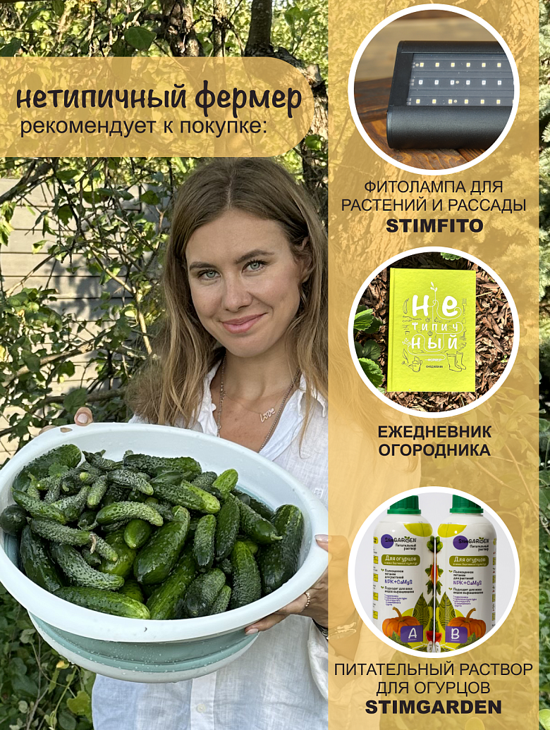 Арпачин6 сайт