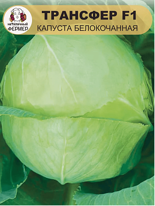 Капуста б/к Трансфер F1 (0,3г) НФ