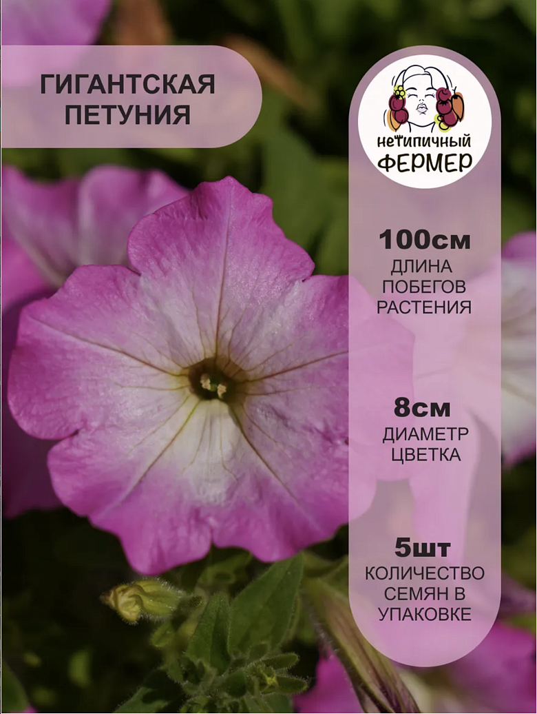 Снимок экрана 2025-12-18 в 17.43.24