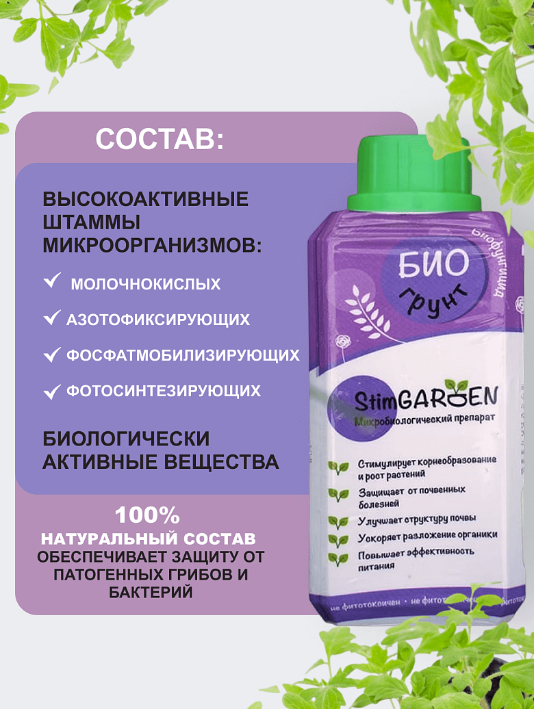 Бгрунт250-3.png