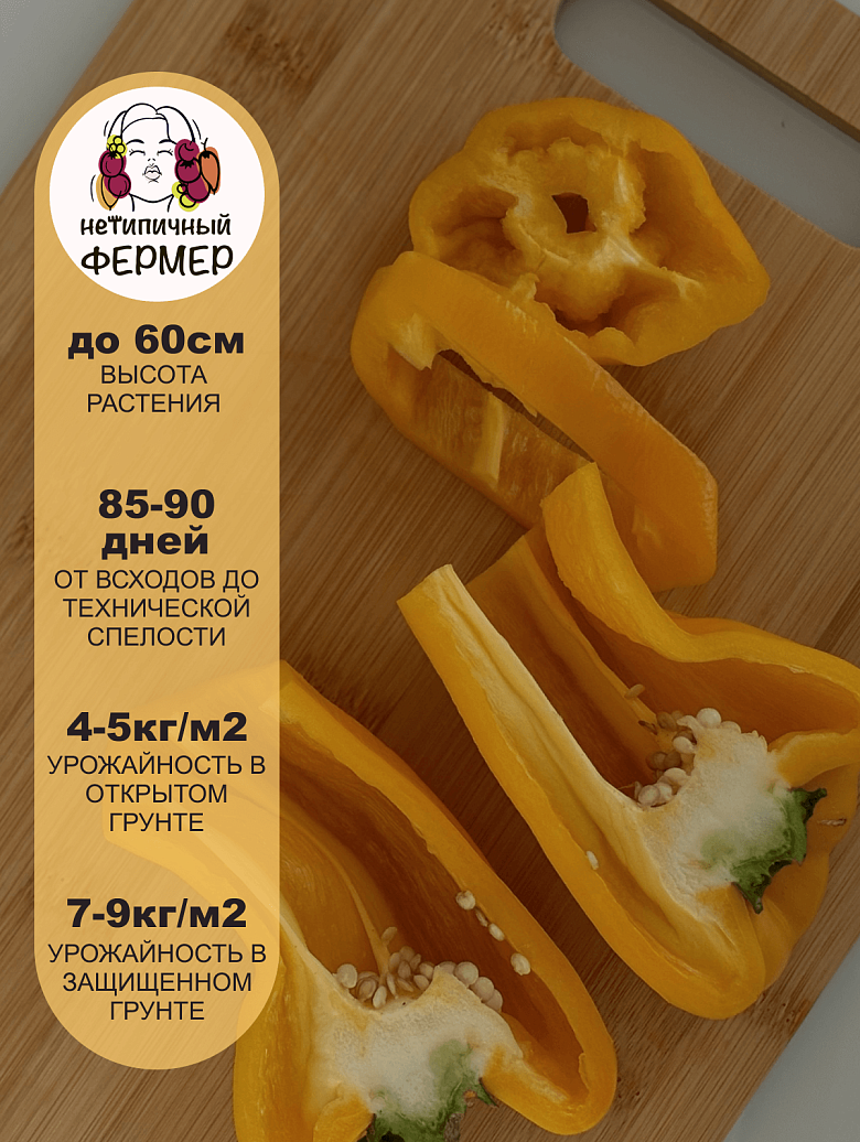 Джемини3.png