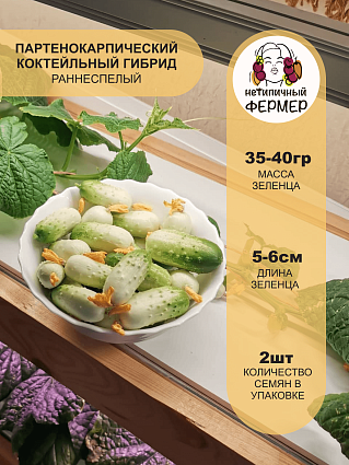 Огурец Квирк F1 (2шт) НФ