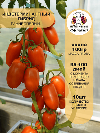 Томат Жара F1 (10шт) НФ