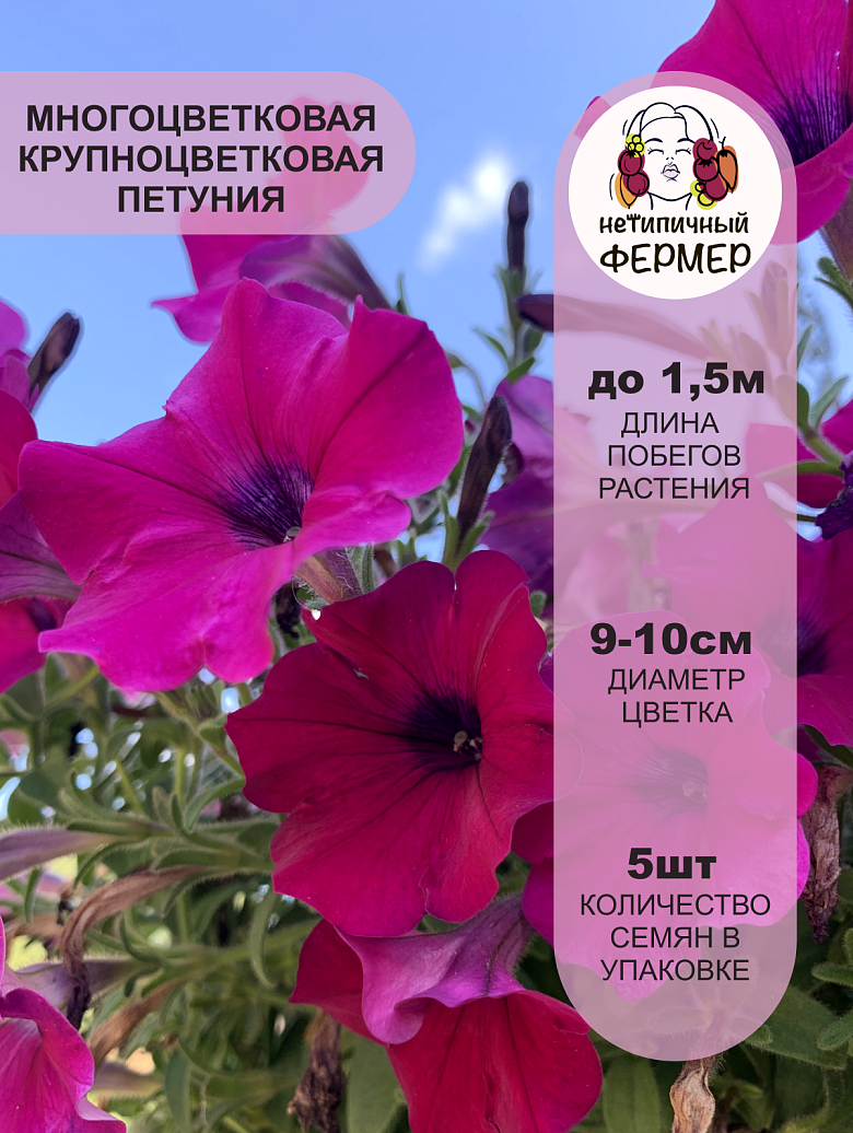 тайна2