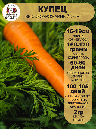 Морковь Купец (2г) НФ