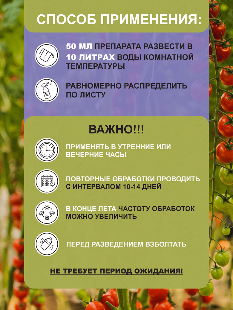 07а.png